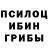 Галлюциногенные грибы прущие грибы Start Key