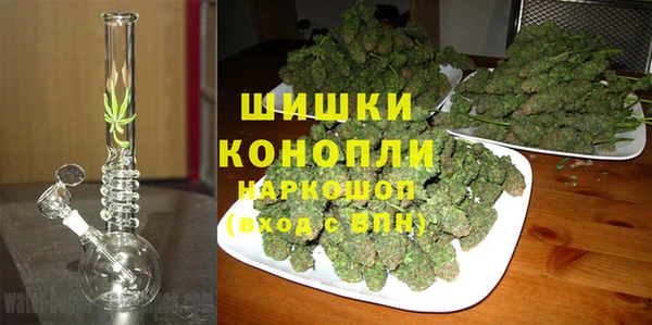 ГАЛЛЮЦИНОГЕННЫЕ ГРИБЫ Арсеньев